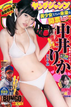 我是刑警演员表
